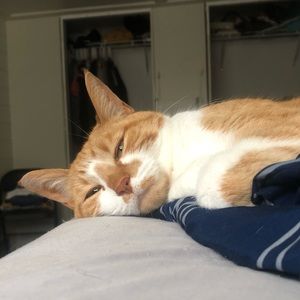 Meet your Posher, Carmen